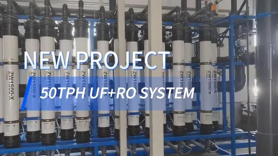 Système d'ultrafiltration à membrane pour l'eau, prix : 15 m³/heure, usine de purification du lait, système de filtration UF